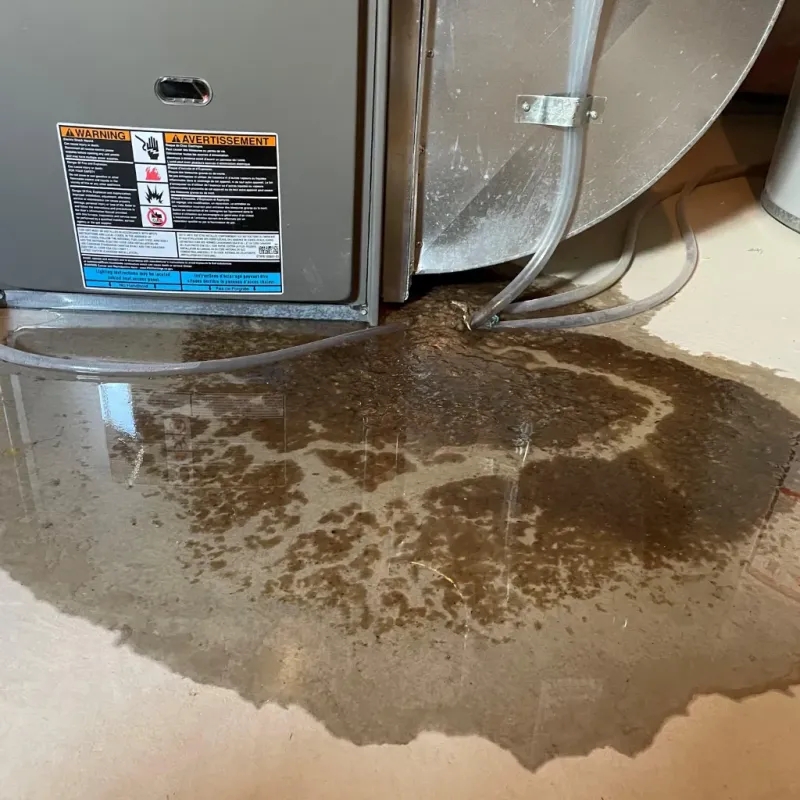 Appliance Leak Cleanup in Madison, AL